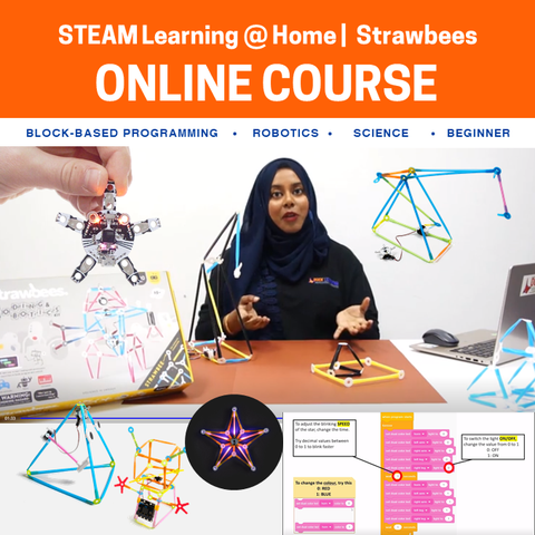 Strawbees® 创造力和编码在线课程（提供捆绑包）
